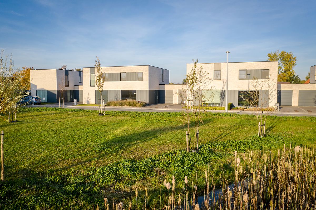 Project Houtkant