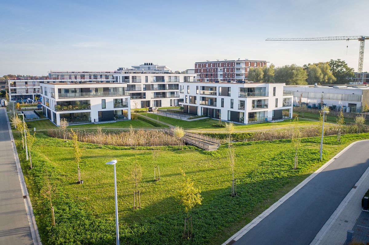 Project Houtkant